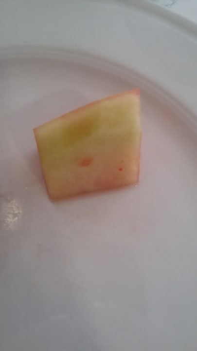 Restaurant Hotel Best Siroco