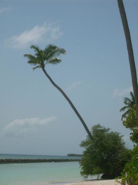 Vom Zimmer aus Kuredu Island Resort & Spa