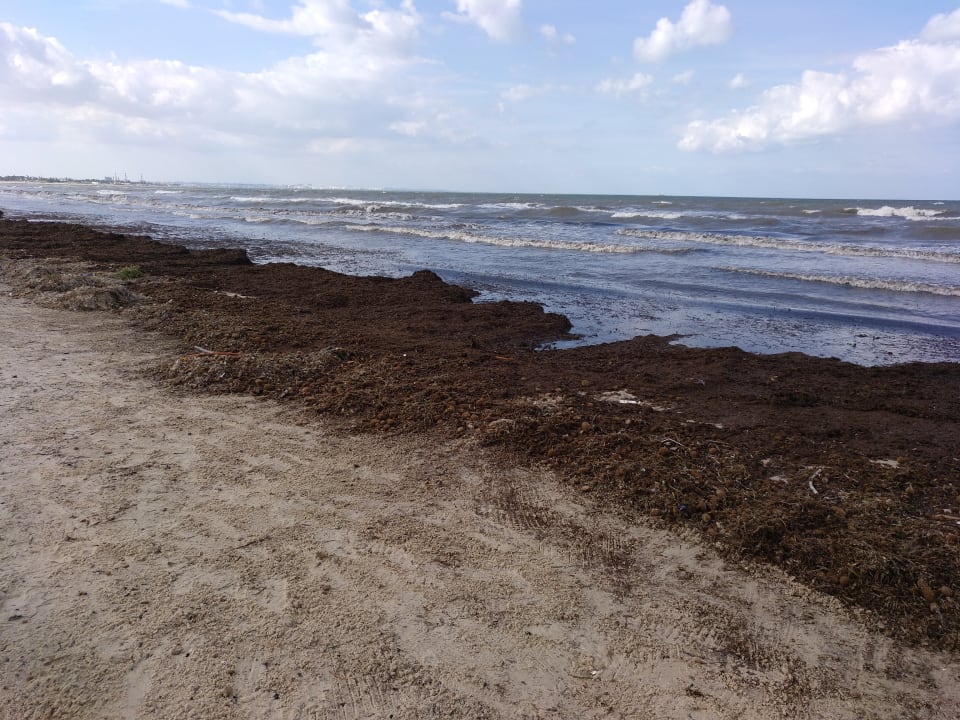 Strand Calimera One Resort Jockey