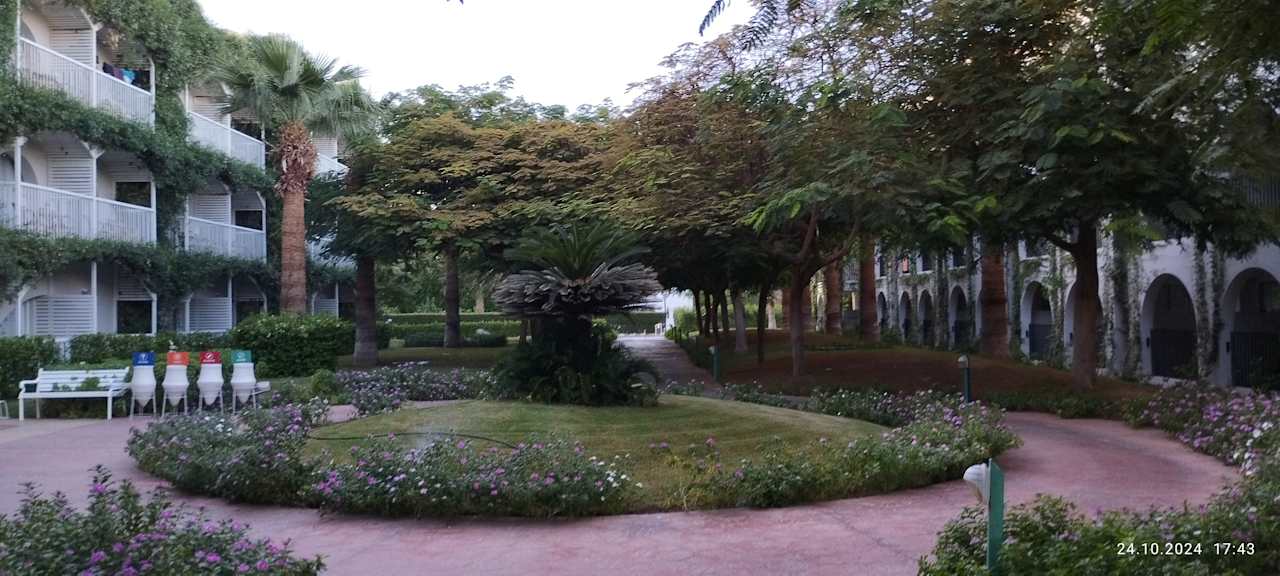 Gartenanlage Desert Rose