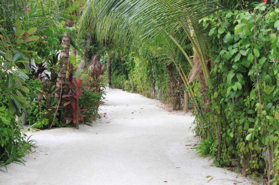 Wege auf der Insel Lily Beach Resort & Spa