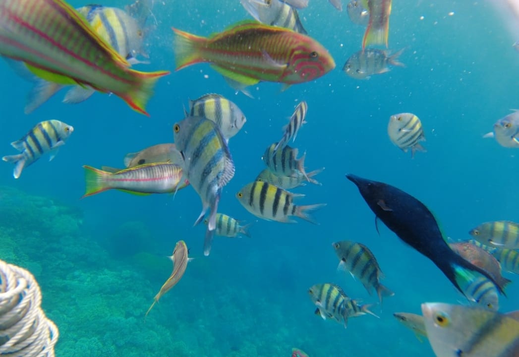 Strand Casa Mare Resort