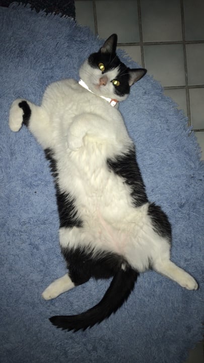 Strand Hotel Delphin Imperial