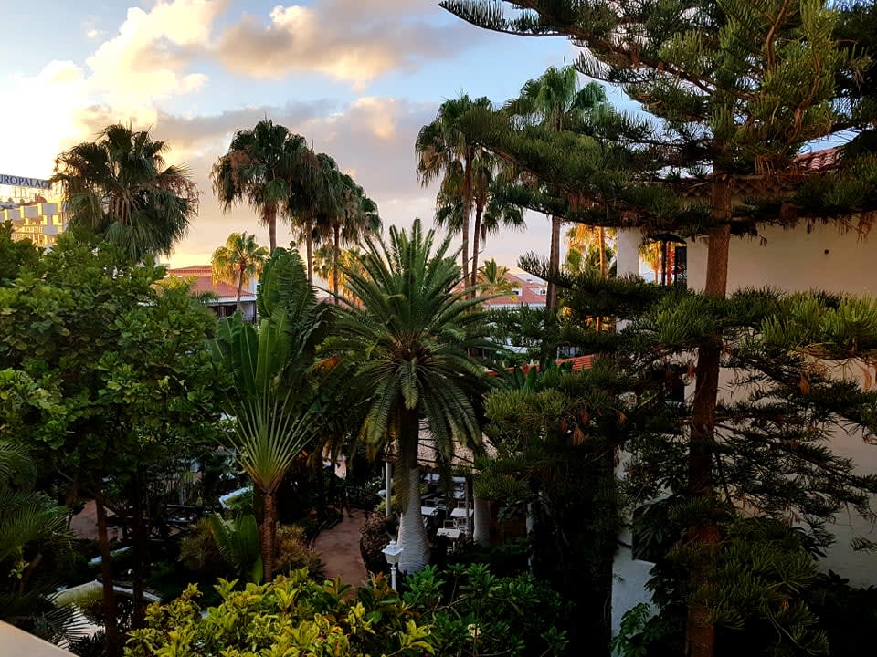 Ausblick Hotel Parque Tropical