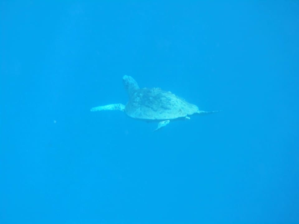 Sport & Freizeit Utopia Beach Club