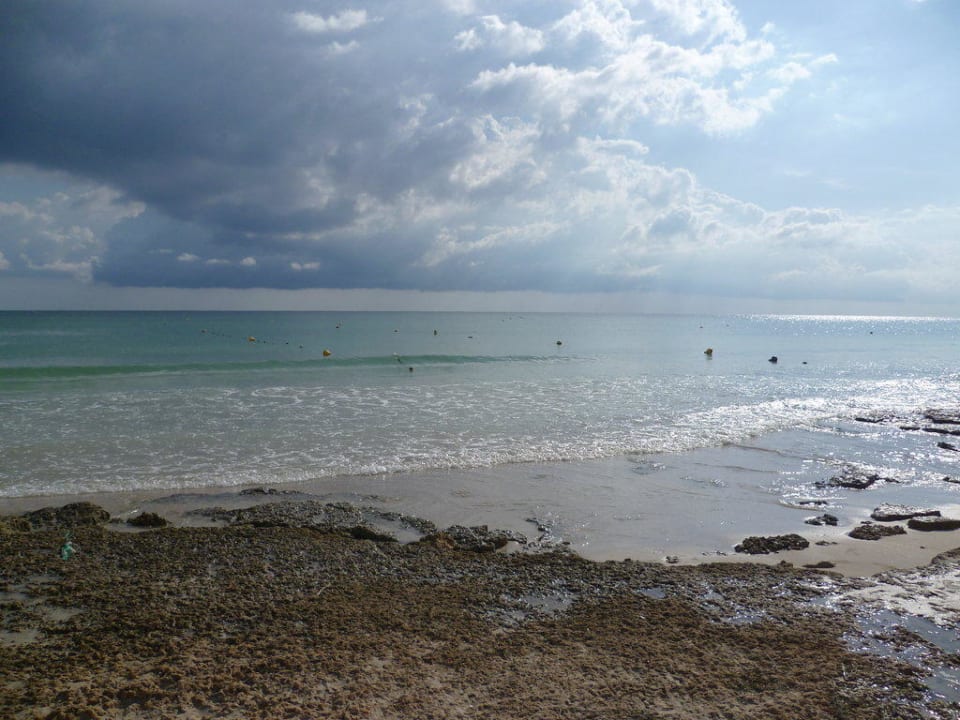 Strand Vincci Safira Palms