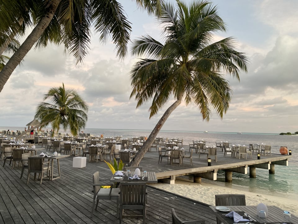 Gastro Vilamendhoo Island Resort & Spa