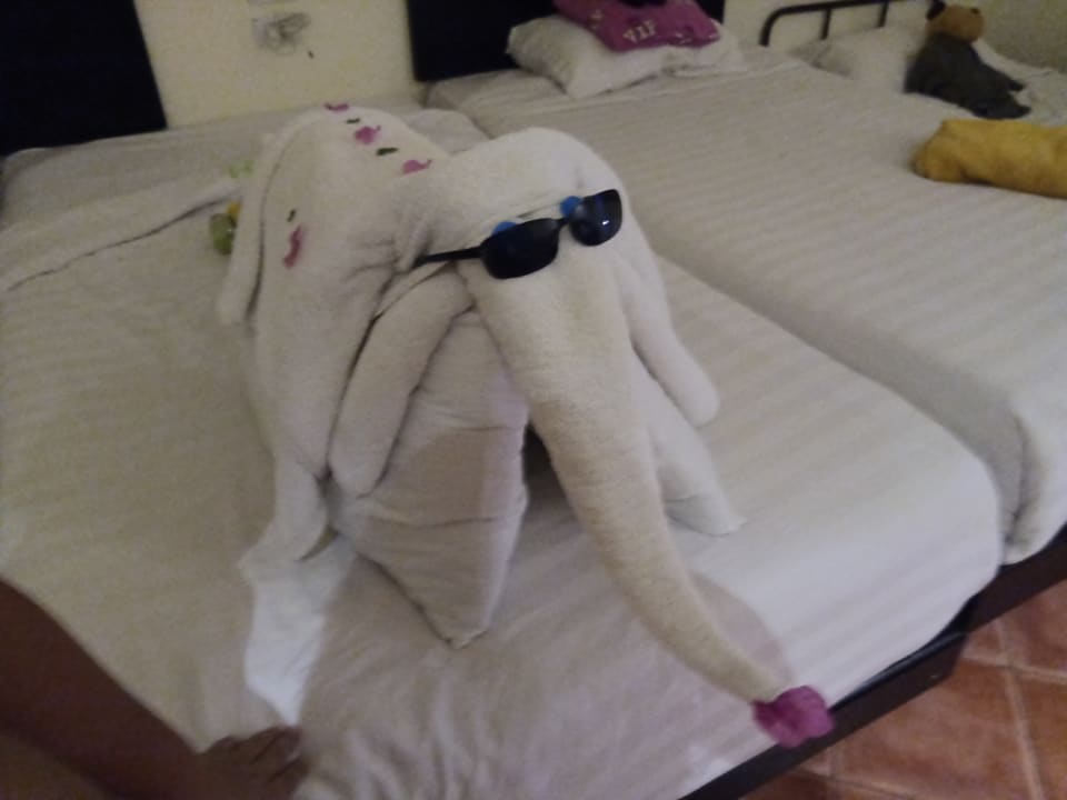 Zimmer Three Corners Sea Beach Resort