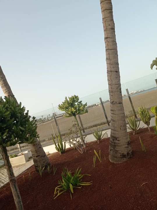 Gartenanlage Hotel Las Costas