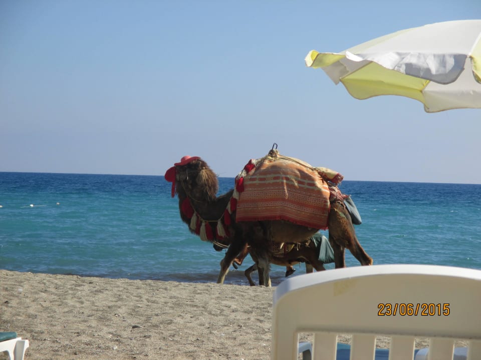 Einfach Toll Hotel Yetkin