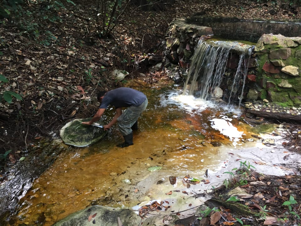 Gartenanlage Amazon EcoPark Jungle Lodge