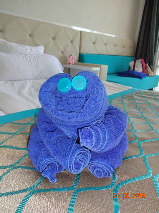 Zimmer Sentido Marea