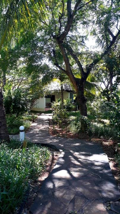 Gartenanlage Spice Island Hotel & Resort