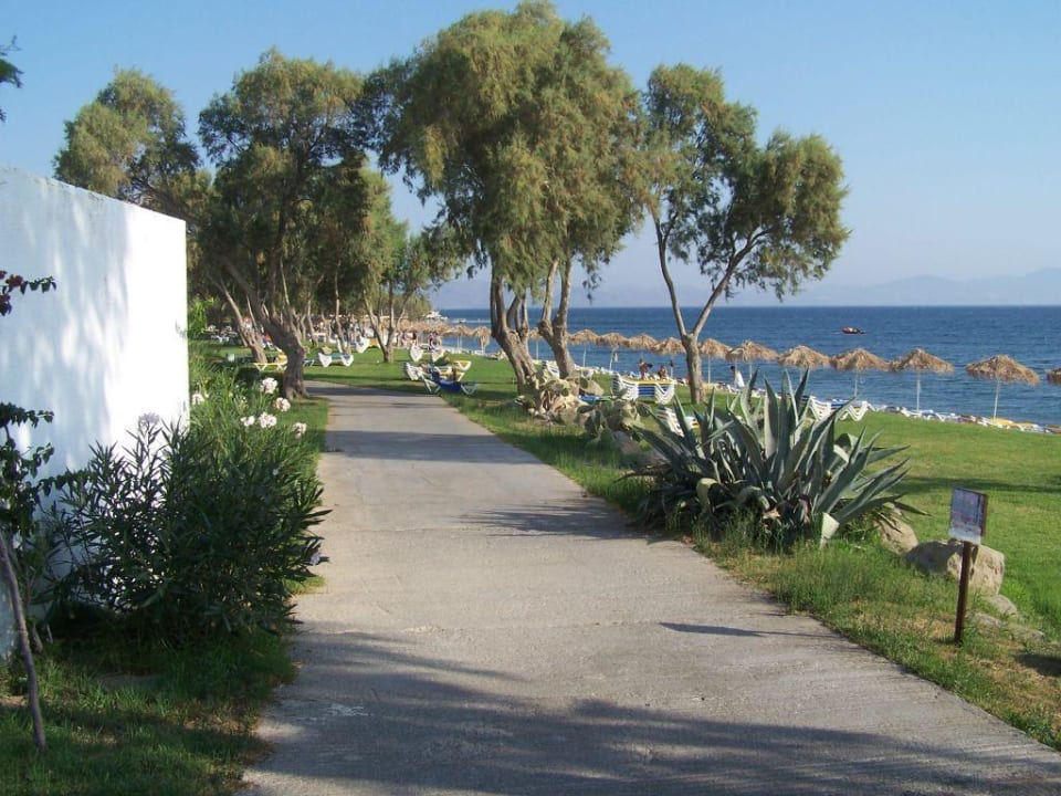 Gartenanlage / Strand TUI BLUE Oceanis Beach and Spa Resort