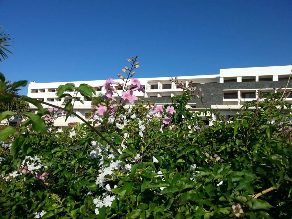 Viel Garten Hotel Costa Calero