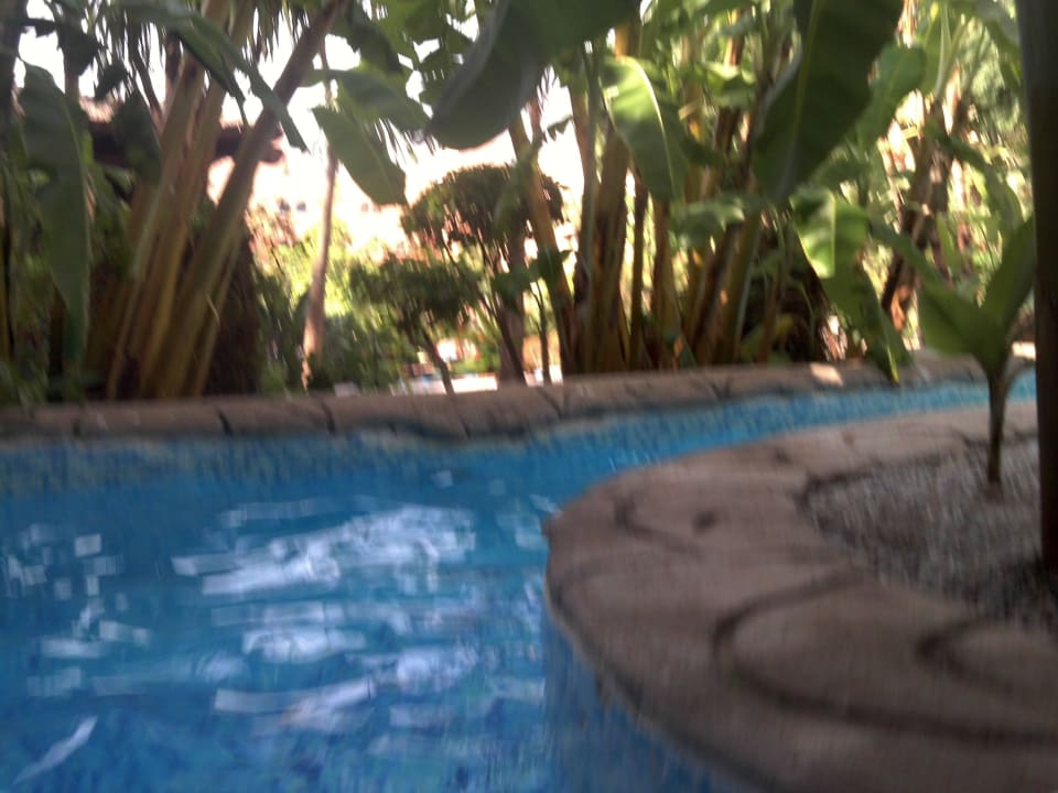 Pool Innenhof Playacálida Hotel