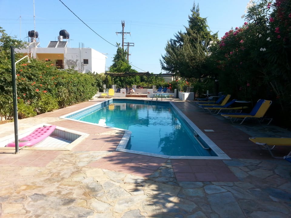 Pool Kalypso Hotel