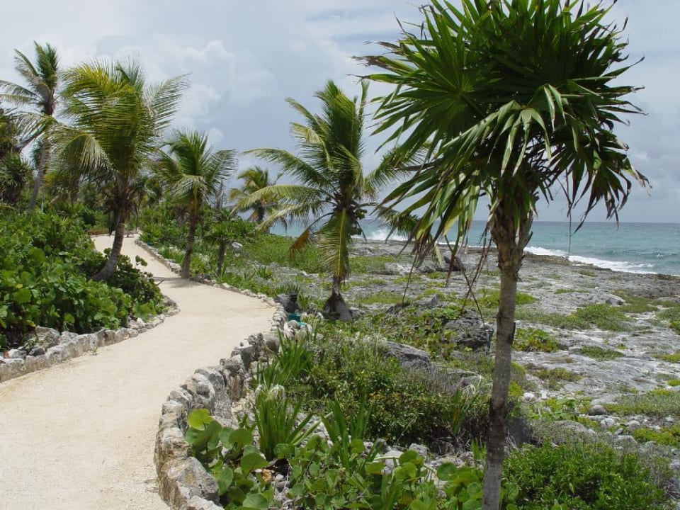 Weg vom Strand zum Pool Bel Air Collection Resort & Spa Riviera Maya