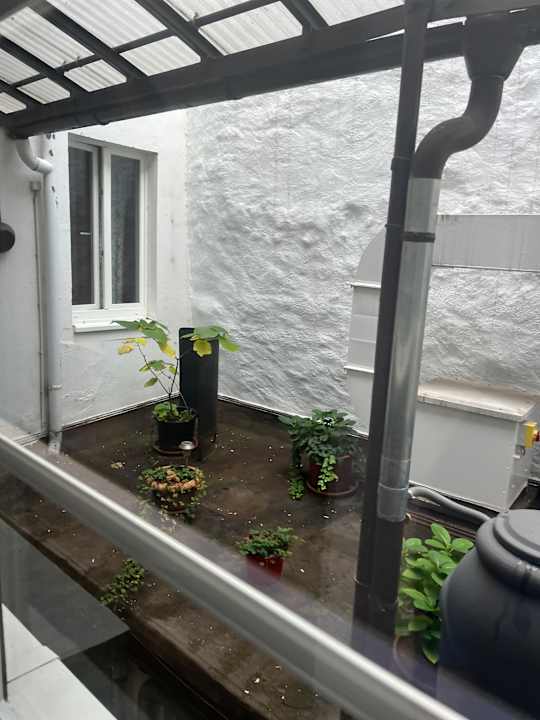 Ausblick Gasthaus Löwen