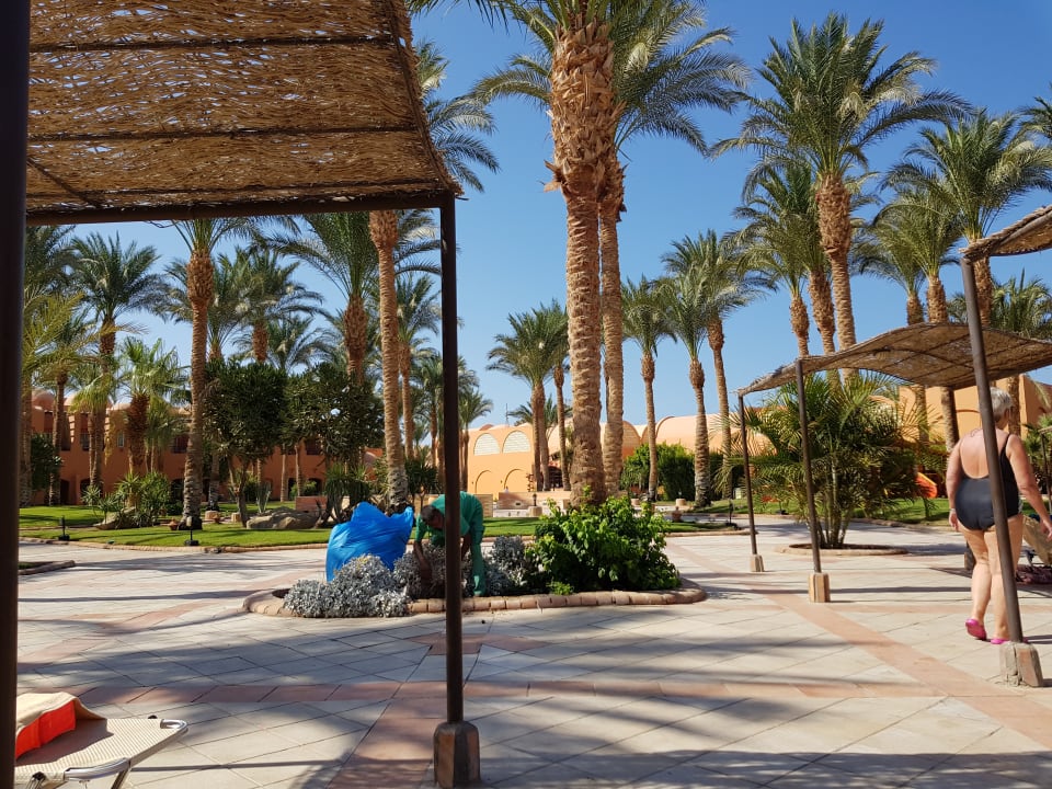 Gartenanlage Jaz Makadi Oasis Resort