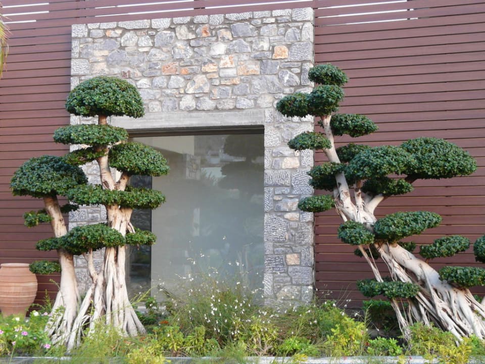 Bäume Aquagrand Artistic Luxury Beach Resort - Adults only