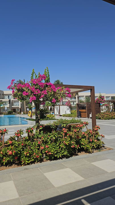 Pool Steigenberger Resort Ras Soma