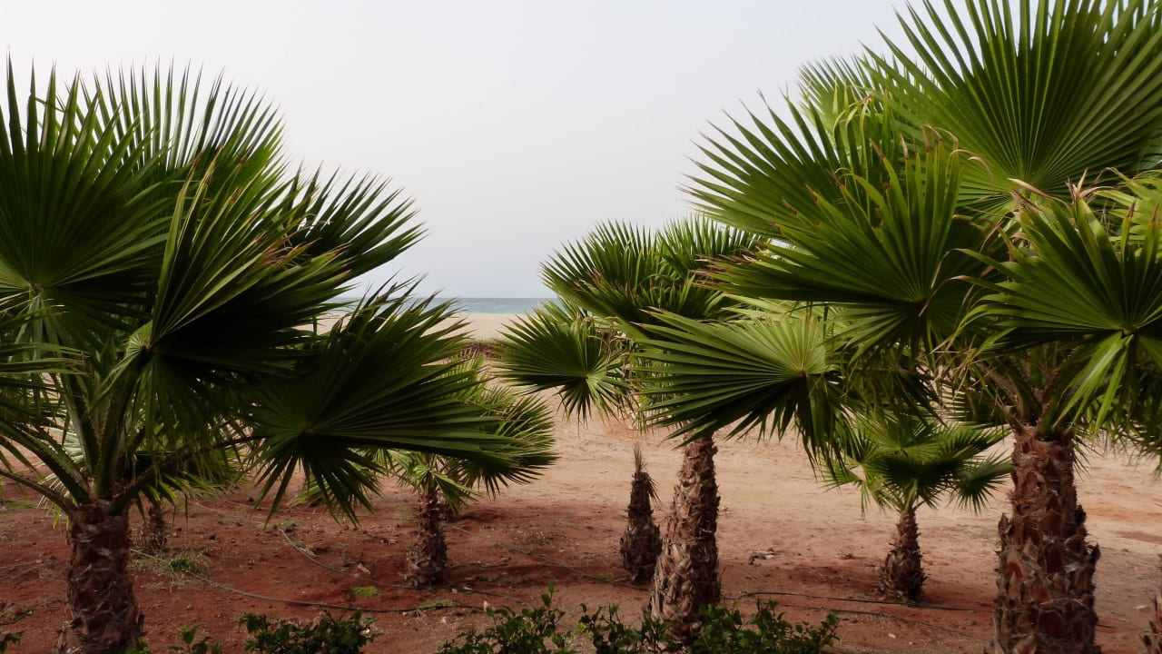 Blick von der Poolliege aus Hotel Riu Touareg