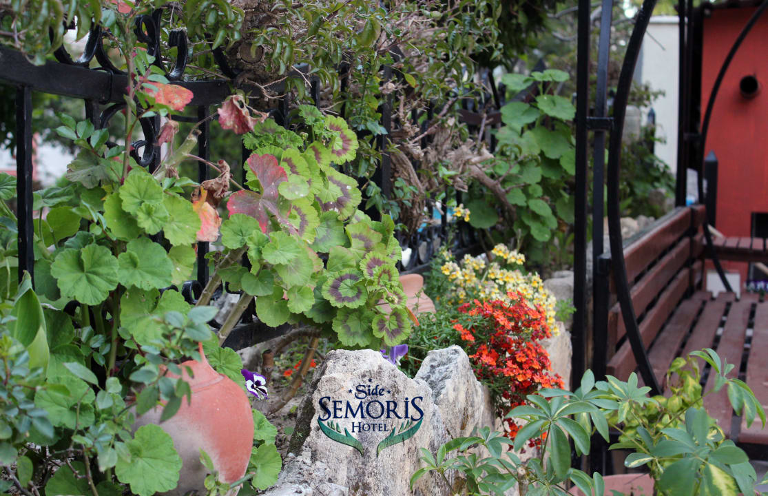 Gartenanlage Semoris Hotel