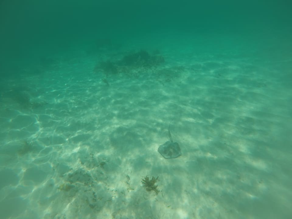 Strand Akumal Bay Beach & Wellness Resort