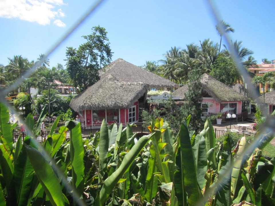 Blick vom Restaurant Hotel Viva Dominicus Palace by Wyndham-All Inclusive Resort