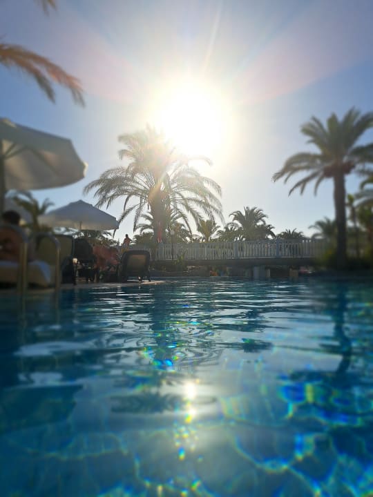 Pool Royal Wings Hotel