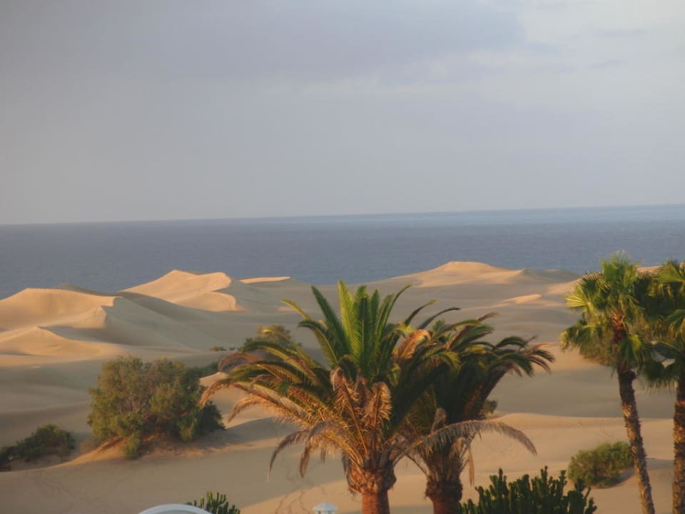 Morgenstimmung Hotel Riu Palace Maspalomas Adults Only