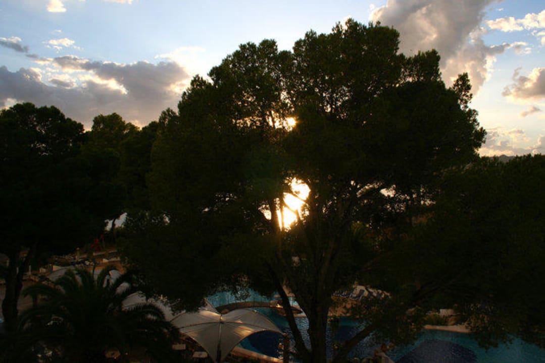 Blick vom Balkon Hipotels Eurotel Punta Rotja Golf & Spa