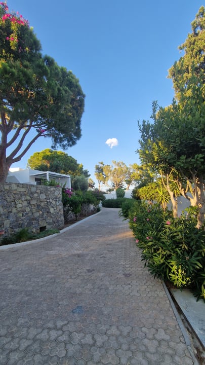 Gartenanlage Kakkos Beach Hotel