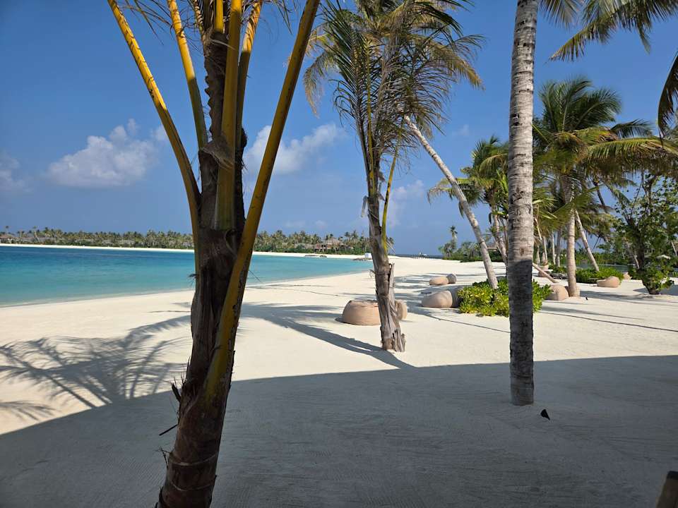 Strand ananea Madivaru Maldives