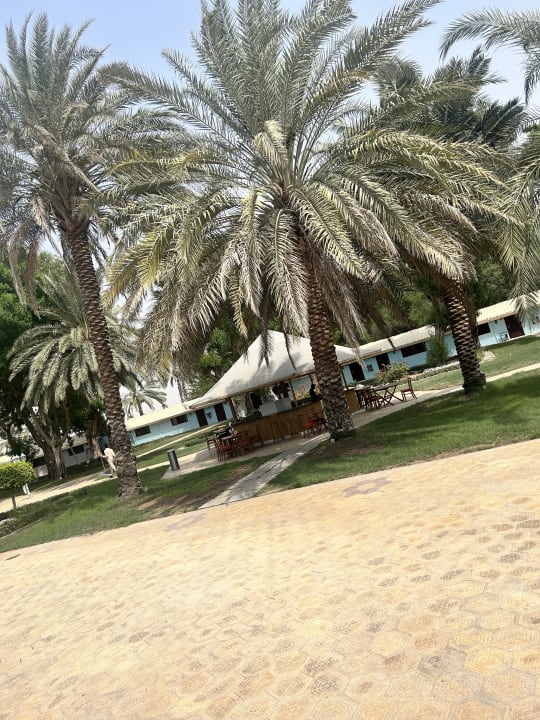 Gastro BM Beach Resort