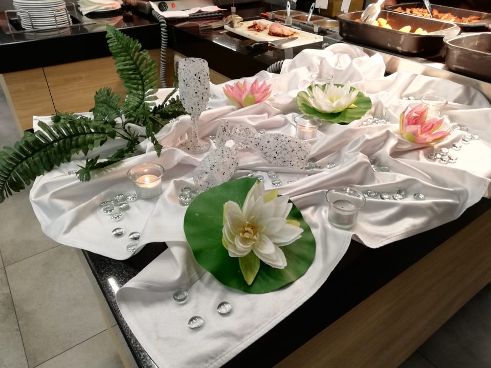 Gastro HVD Viva Club Hotel