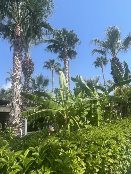 Außenansicht Arycanda Kirman Premium