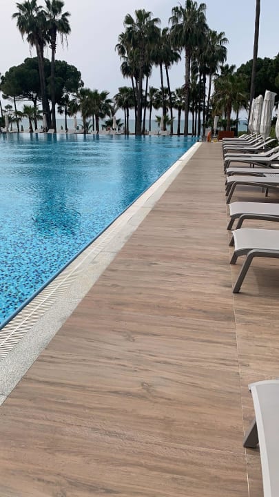 Pool Acanthus Cennet Barut Collection