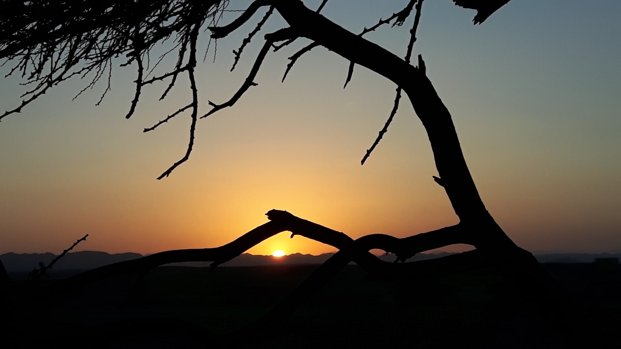 Ausblick Shams Alam Beach Resort