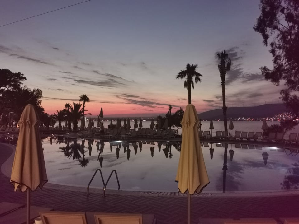 Pool Long Beach Club Nature