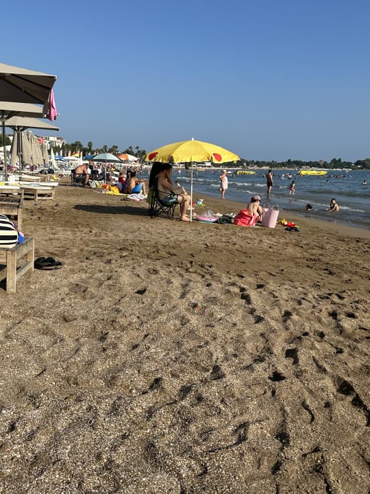 Strand Acanthus Cennet Barut Collection