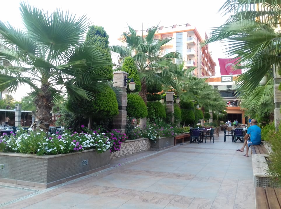 Gartenanlage Dizalya Palm Garden