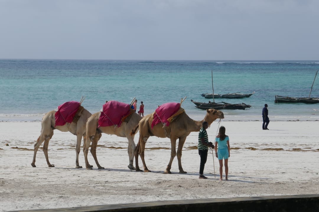 Strand Neptune Paradise Beach Resort & Spa