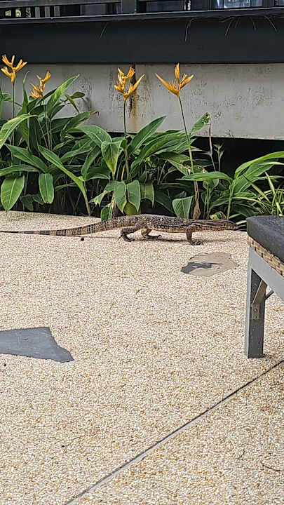 Gartenanlage Moracea by Khao Lak Resort