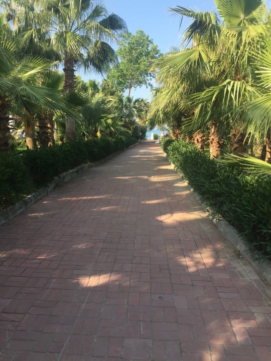 Strand Seaden Corolla Hotel