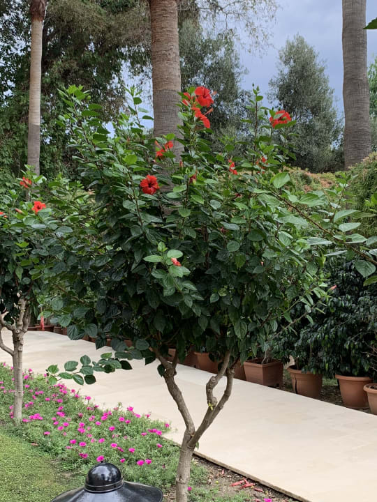 Gartenanlage Melas Resort Hotel