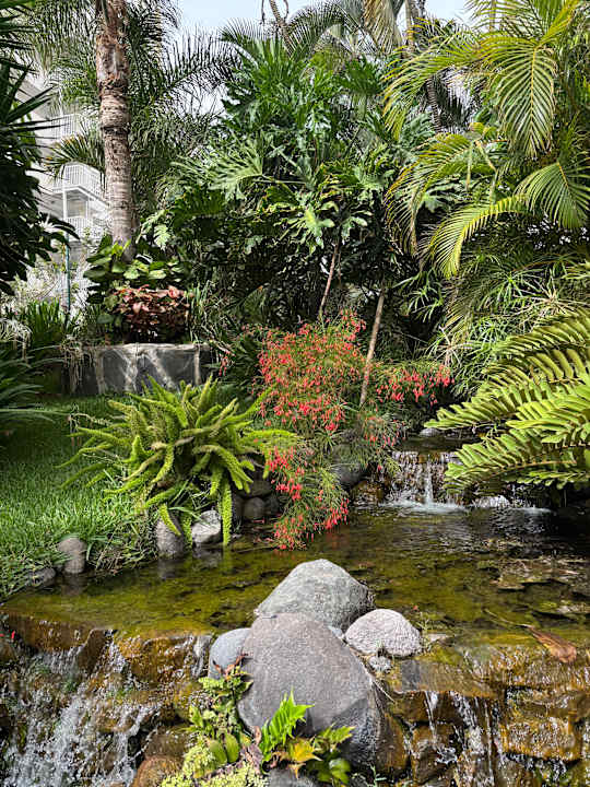 Gartenanlage allsun Hotel Lucana