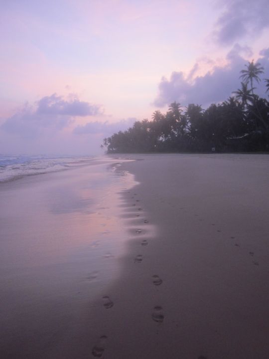 Sunset Hotel Haus am Meer Wilde Ananas