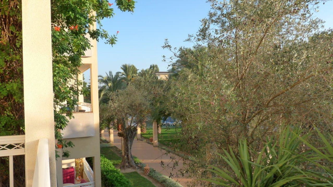 Zimmer - Ausblick Prinsotel La Dorada